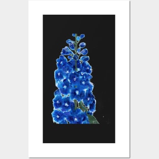 Blue Delphinium flower in collage Posters and Art